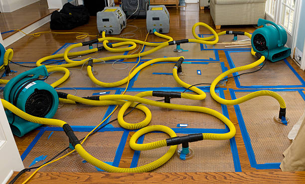 Professional Water Damage Restoration technician working in Farley, IA